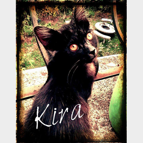 Kira #1
