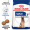 Royal Canin Maxi Adult 5+ | Nagytestű idősödő kutya száraz táp