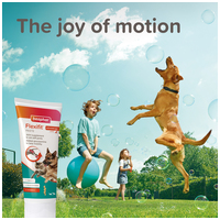 Beaphar Flexifit paszta kutyáknak #10