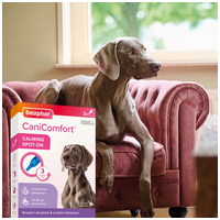 Beaphar CaniComfort feromonos spot on kutyák számára #4