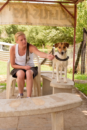 Trixi, egy éves, szuka