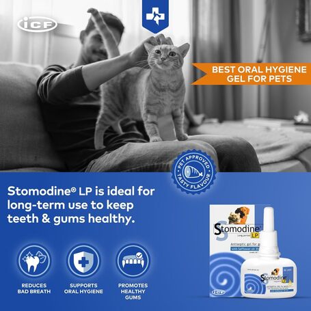 Stomodine L.P. antibakteriális szájfertőtlenítő gél kutyáknak és macskáknak