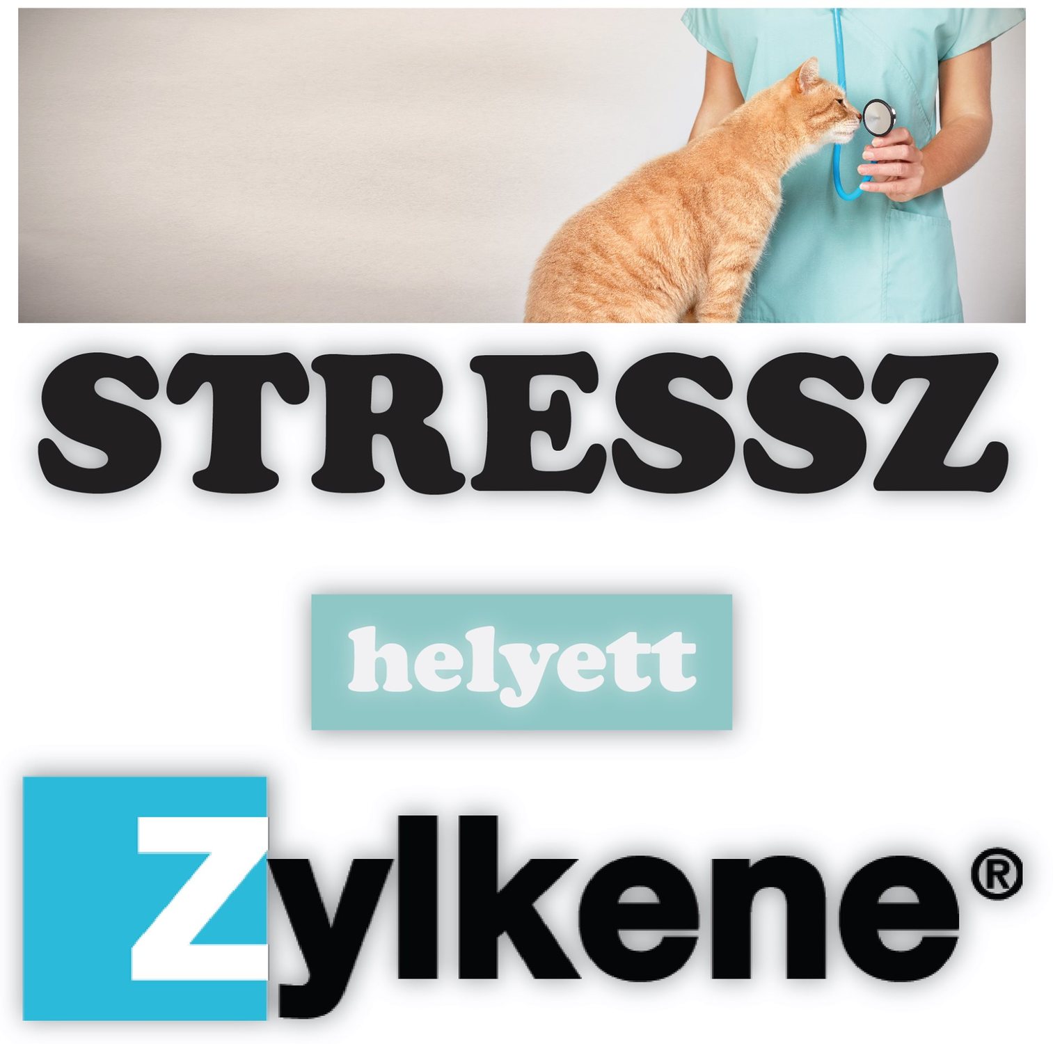 Zylkéne antistres, capsule de calmare pentru pisici și câini de talie mică - zoom