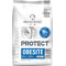 Flatazor Protect Obesity