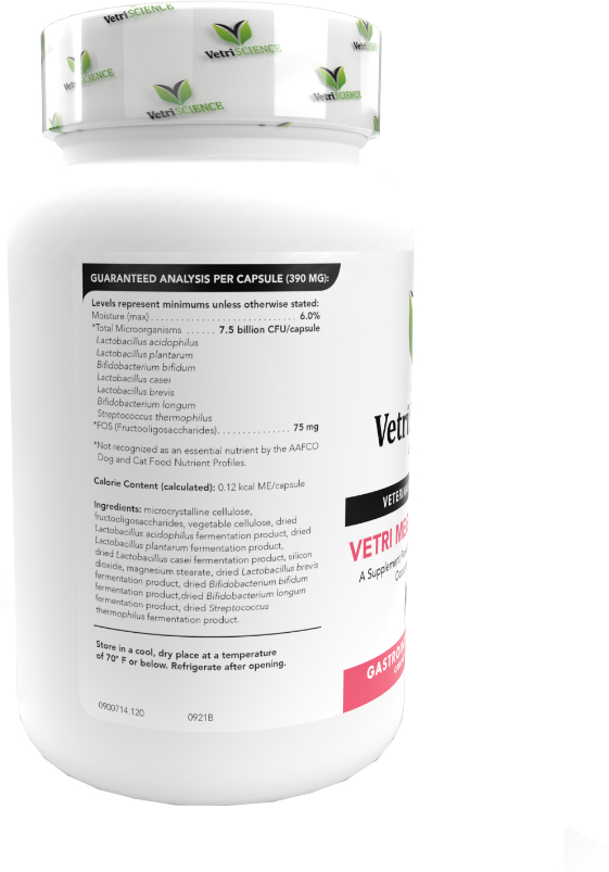 VetriScience Vetri Mega Probiotic capsule - zoom