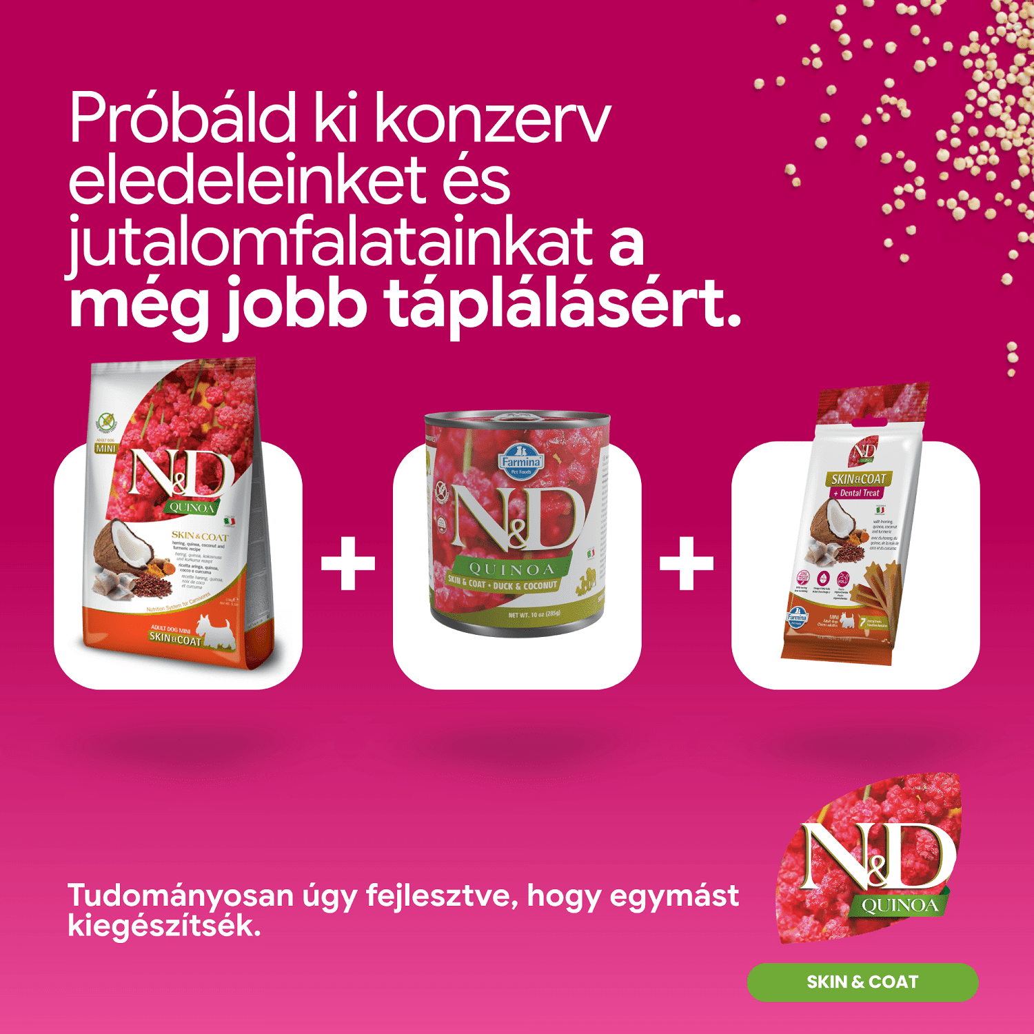 N&D Dog Grain Free Quinoa Skin & Coat Herring – Bőr- és szőrproblémákra | Szuperprémium kutyaeledel