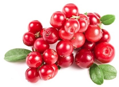 FitActive Next Hypoallergenic Mono Protein Lamb