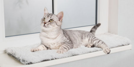 Trixie Harvey puha szőrmés heverőszőnyeg ablakpárkányra cicáknak