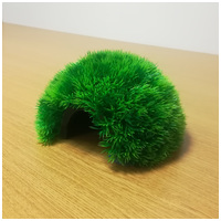 Ikráztató barlang #4