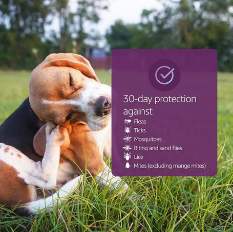 Vectra 3D repellens spot on kutyáknak