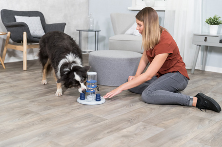 Trixie Dog Activity Gambling Tower játék kutyának