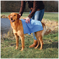 Trixie szürke kutyatörcsi #7