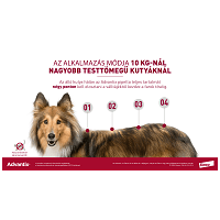 Advantix Spot On kutyáknak #12