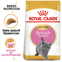 Royal Canin British Shorthair Kitten - Brit rövidszőrű kölyök macska száraz táp