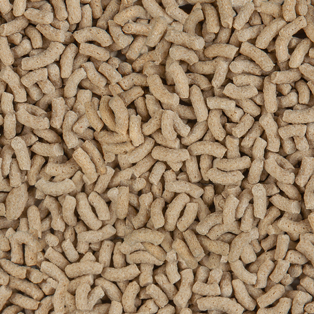 Sera Pond Color Sticks kerti tavi haltáp