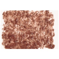 Tetra Fresh Delica Brine Shrimps természetes díszhaleledel #2