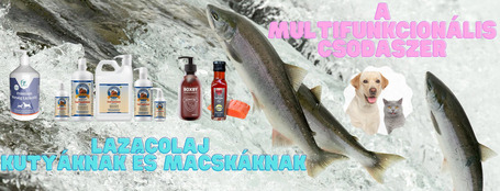 Lazacolaj - a multifunkcionális csodaszer kutyánk és macskánk egészségének megőrzéséért