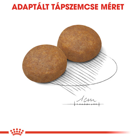 Royal Canin Maxi Adult 5+ | Nagytestű idősödő kutya száraz táp