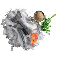 Belcando Finest Grain-Free Salmon #14