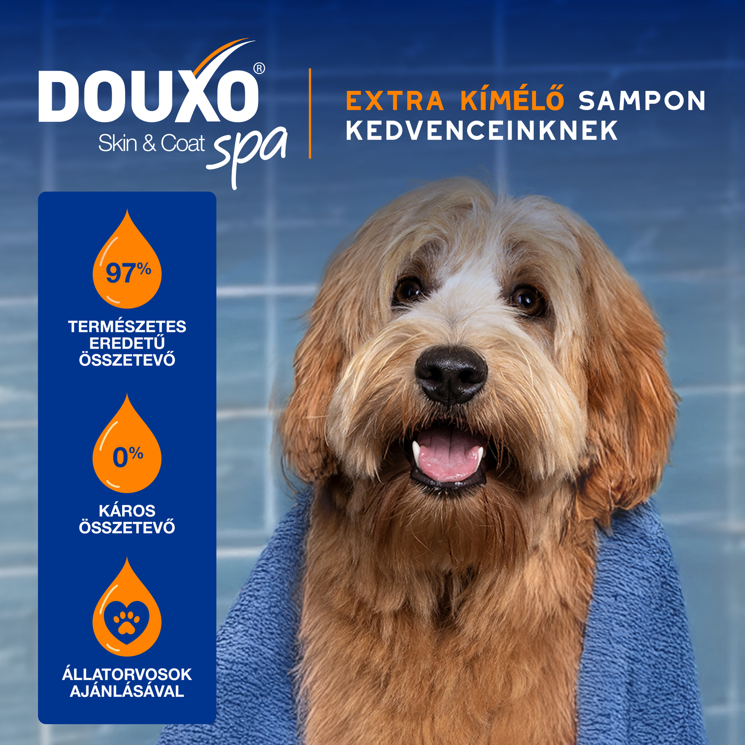 Douxo Spa șampon descurcant pentru câini - zoom