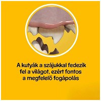 Pedigree DentaStix #4