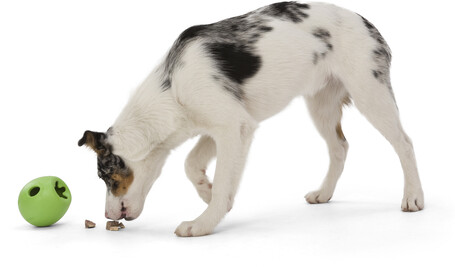 West Paw Rumbl - Jutalomfalattal tölthető labda