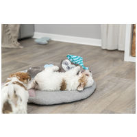 Trixie Junior lajhár szívhanggal kölyökkutyák részére #14