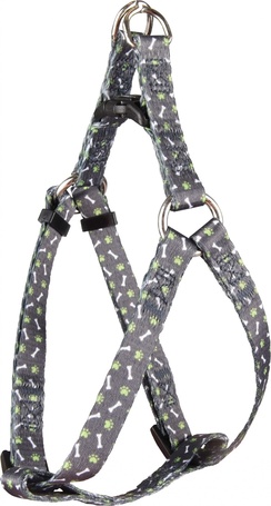 Flamingo Safia kutyahám mancs és csontmintával