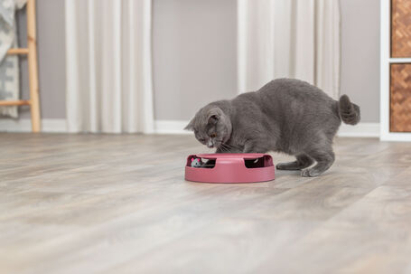 Trixie "Kapd el az egeret" macskajáték