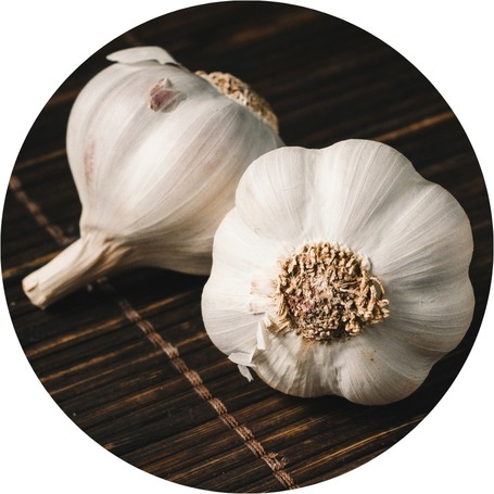 Foghagymás termékek lovaknak