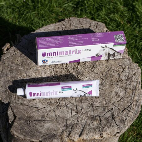 Omnimatrix sebfertőtlenítő krém a gyors sebgyógyulásért