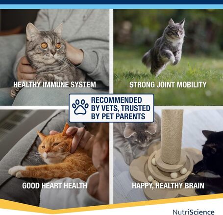 NutriScience Senior Aid Multivitamin gél idős macskáknak