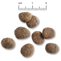 Belcando Finest Croc | Eledel túlsúlyos kistestű és közepes testű kutyák számára #4