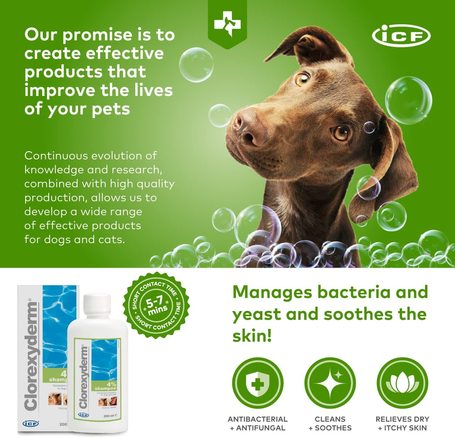 Clorexyderm 4%-os fertőtlenítő sampon kutyáknak és macskáknak