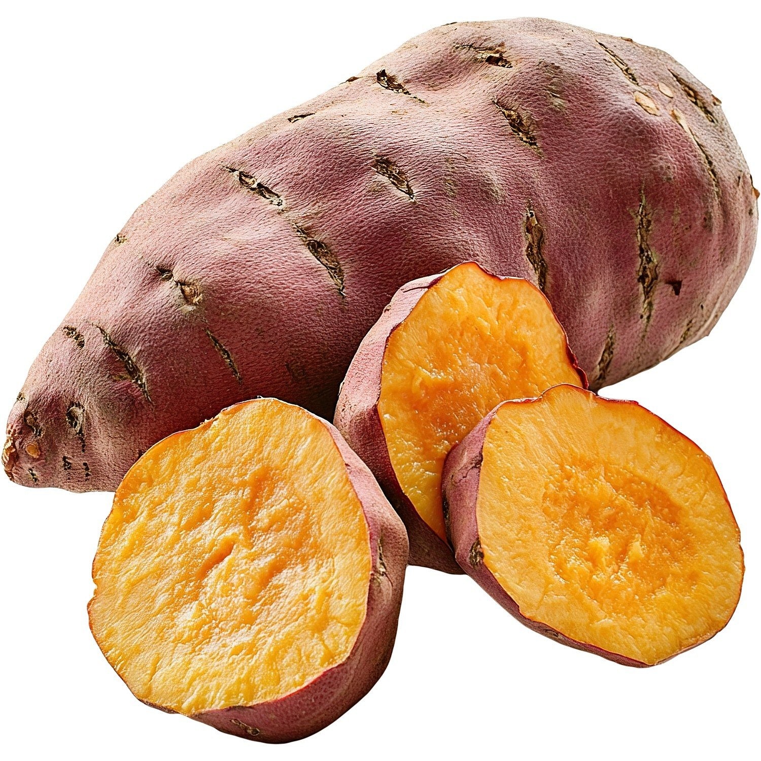 Food Studio piure de legume și fructe de pădure pentru câini - zoom