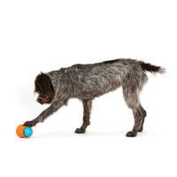 West Paw Toppl - Jutalomfalattal tölthető kutyajáték #15