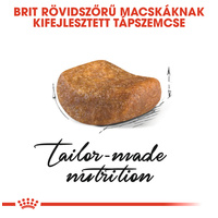 Royal Canin British Shorthair Adult - Brit rövidszőrű felnőtt macska száraz táp #3