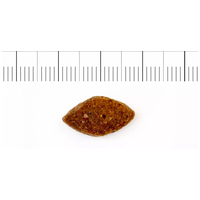 Profine Energy Chicken & Potatoes | Táp teljesítőképességű kutyáknak csirkével és burgonyával #4