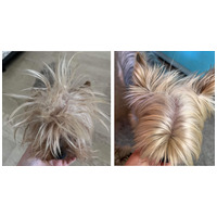 Dermoscent Physio Easy Brush kutyáknak és macskáknak #3