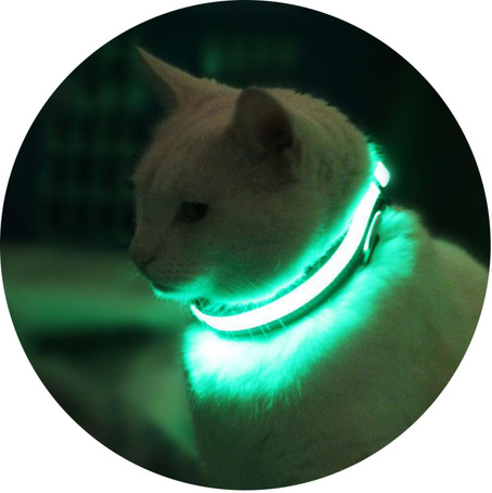 Világító felszerelések macskáknak