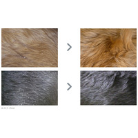 Dermoscent Essential 6 spot-on kutyáknak és kisemlősöknek #4