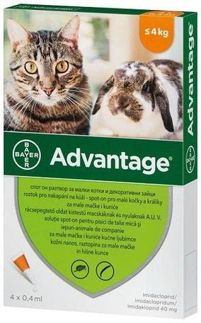 Advantage 40 spot on törpenyúlnak, kistestű macskának