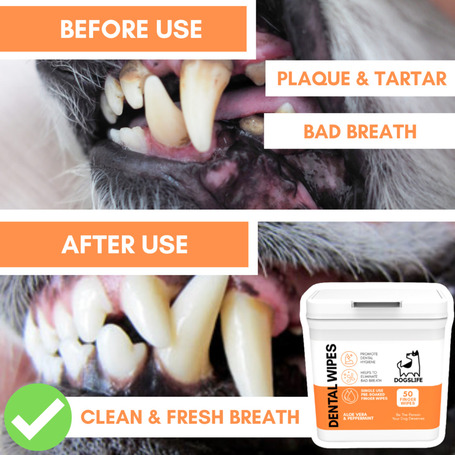 OurDogsLife fogtisztító kendő