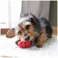 Kong Classic piros harang #12