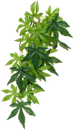 Műnövények terráriumba