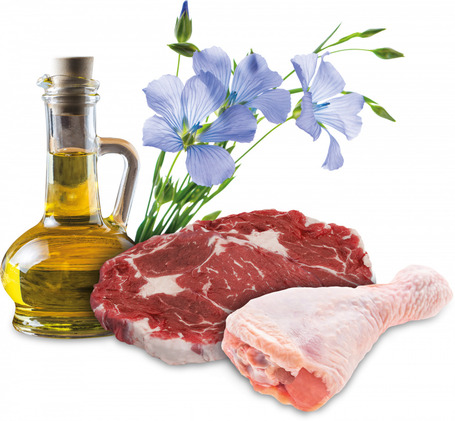 Aport Premium Adult kutyatáp