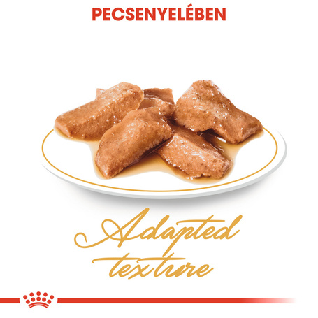 Royal Canin Maine Coon Adult - Maine Coon felnőtt macska nedves táp