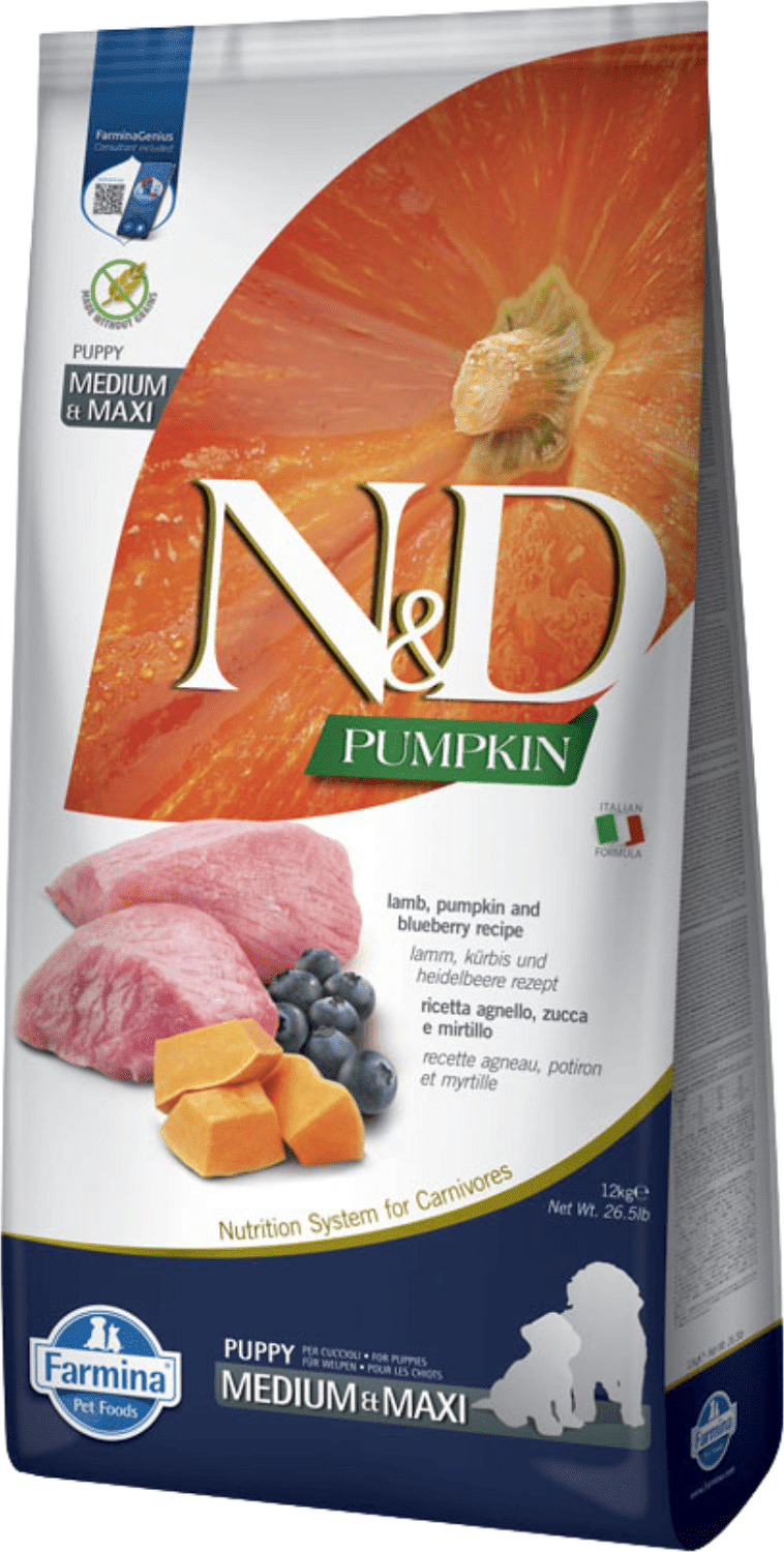 N&D Dog Grain Free Puppy Medium/Maxi sütőtök, bárány & áfonya szuperprémium kutyatáp