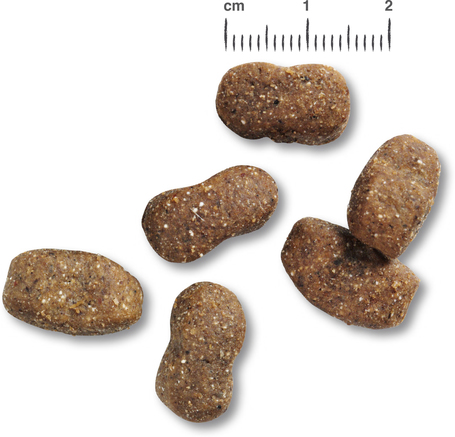 Belcando Adult Lamb & Rice táp érzékeny emésztésű kutyáknak