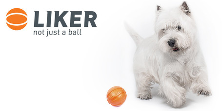 Liker narancssárga labda kutyáknak
